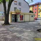 Fotka nr 5 z 6