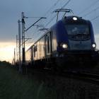 Fotka nr 2 z 24