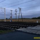 Fotka nr 5 z 7