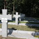 Fotka nr 4 z 37