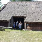 zdjęcie nr 19