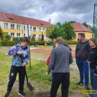 zdjęcie nr 94
