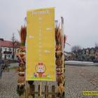 zdjęcie nr 12