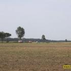 Fotka nr 1 z 6