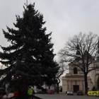 zdjęcie nr 16