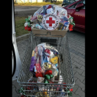 zdjęcie nr 12