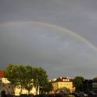 zdjęcie nr 8