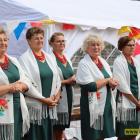 Fotka nr 1 z 169