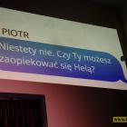 zdjęcie nr 42