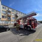 Fotka nr 1 z 11