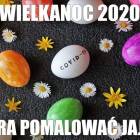 Fotka nr 5 z 16