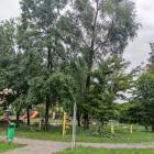 zdjęcie nr 25