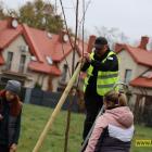 zdjęcie nr 14