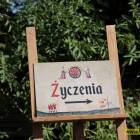 Fotka nr 0 z 122
