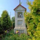 zdjęcie nr 40