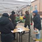 zdjęcie nr 38