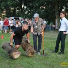 zdjęcie nr 180