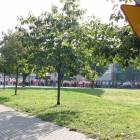 zdjęcie nr 50