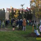 zdjęcie nr 46