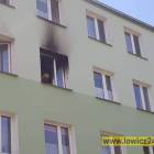 zdjęcie nr 15