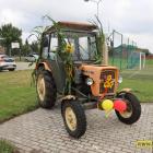 zdjęcie nr 95