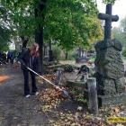 zdjęcie nr 19