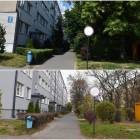 zdjęcie nr 14
