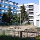 zdjęcie nr 10