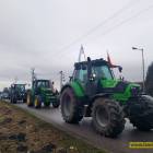 zdjęcie nr 11