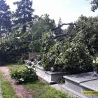 zdjęcie nr 22