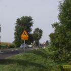 Fotka nr 5 z 6
