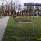 Fotka nr 5 z 6