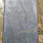 zdjęcie nr 14