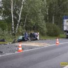 Fotka nr 2 z 16