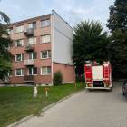 Fotka nr 3 z 4