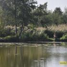 zdjęcie nr 16