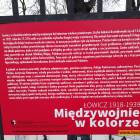Fotka nr 2 z 10