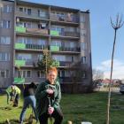 zdjęcie nr 8