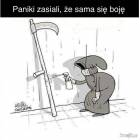 zdjęcie nr 15