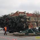 zdjęcie nr 9