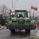 zdjęcie nr 17