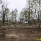 Fotka nr 5 z 6