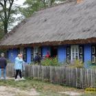 zdjęcie nr 11
