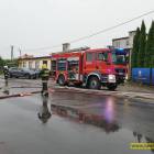 Fotka nr 2 z 20