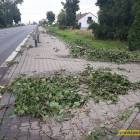 zdjęcie nr 12