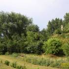 zdjęcie nr 16