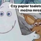 Fotka nr 1 z 11