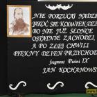 zdjęcie nr 12