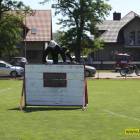zdjęcie nr 11