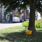 zdjęcie nr 7